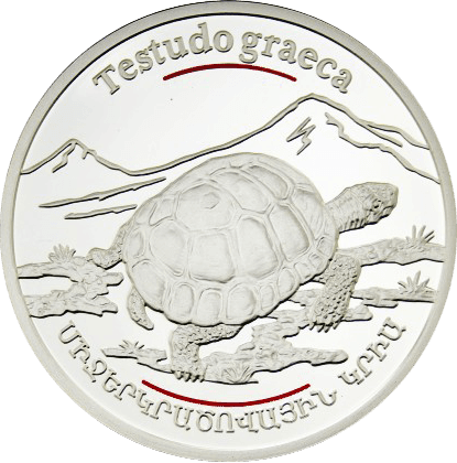 ancient-aegina-greek-city-state-c. 650-457 BCE (specific dates vary by issue)-item