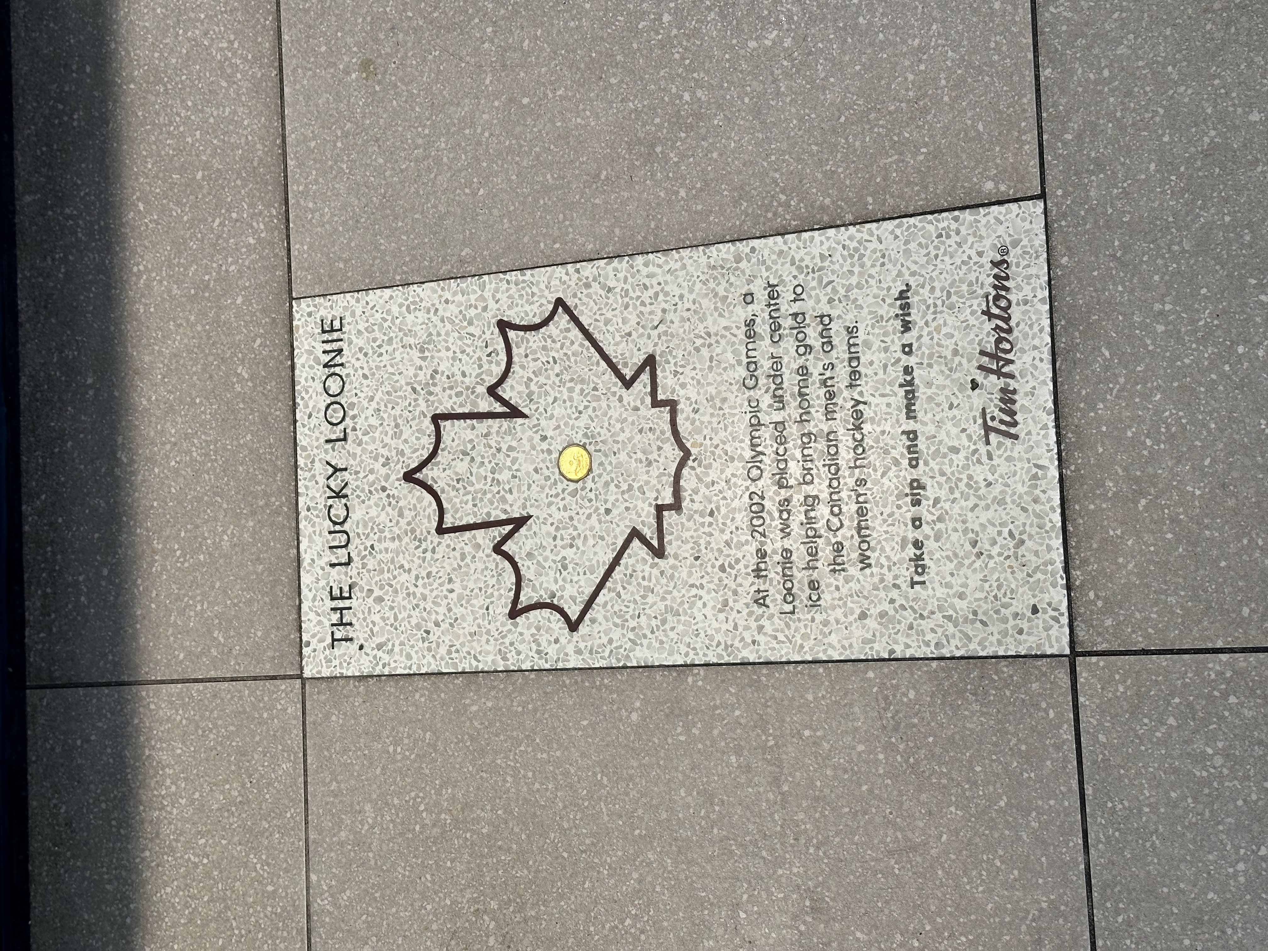 canada-not-discernible-from-image-likely-2003-2022-based-on-effigy-and-2012-2022-based-on-apparent-composition-item