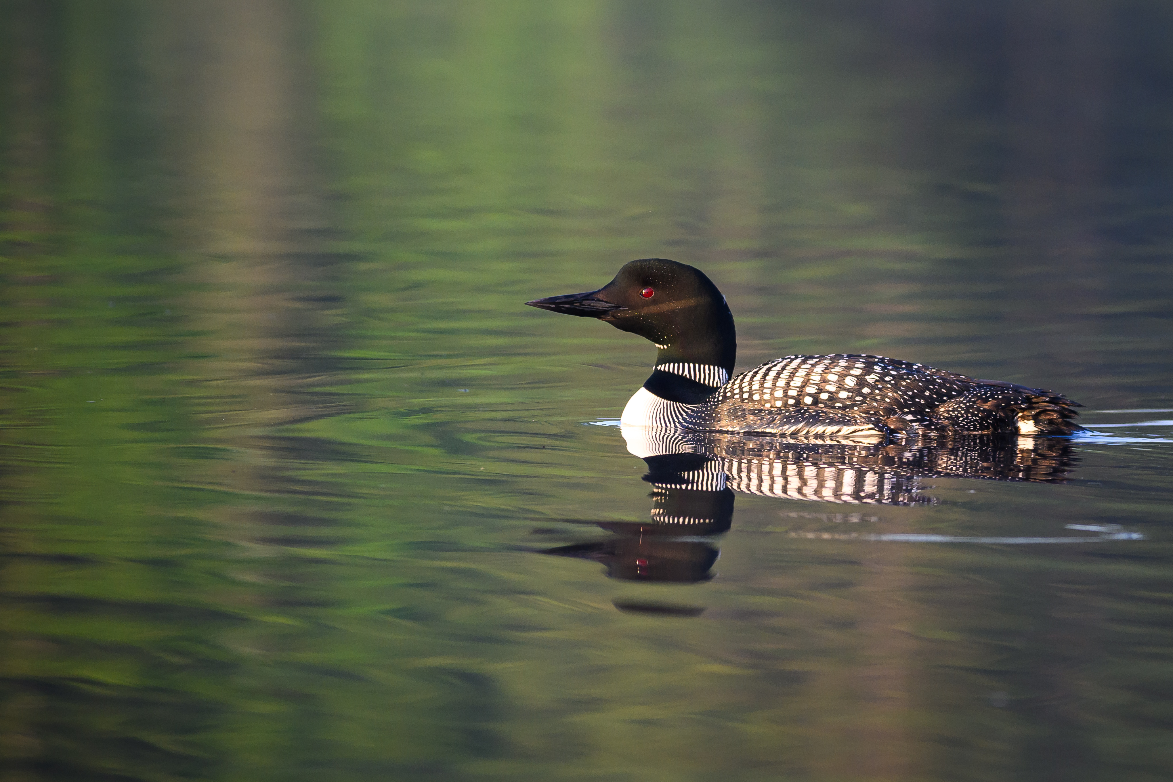 canada-not-specified-in-metadata-the-canadian-loonie-dollar-series-began-in-1987-item