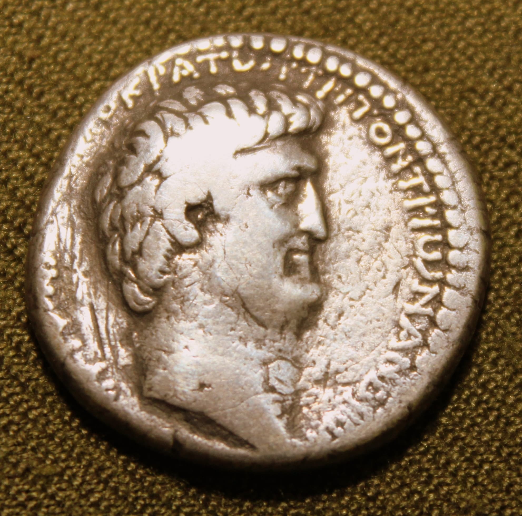 roman-provincial-syria-seleucis-and-pieria-36-35-bc-item